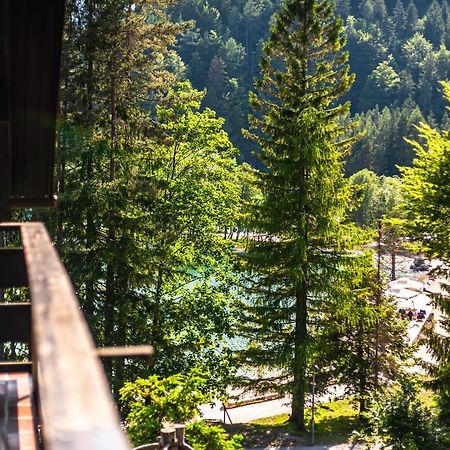 Вилла House Moose'T Getaway, Краньска Гора Экстерьер фото