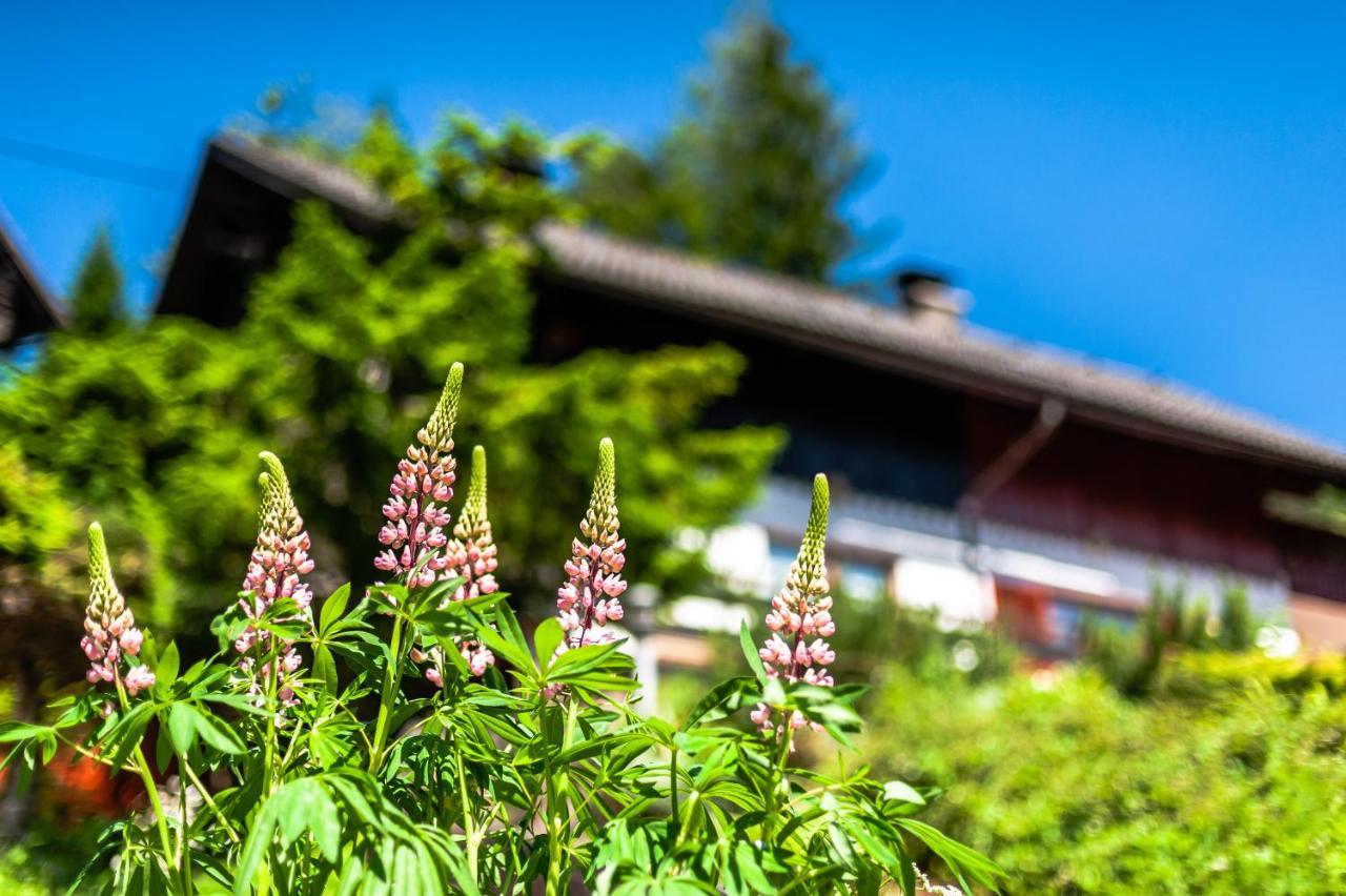 Вилла House Moose'T Getaway, Краньска Гора Экстерьер фото