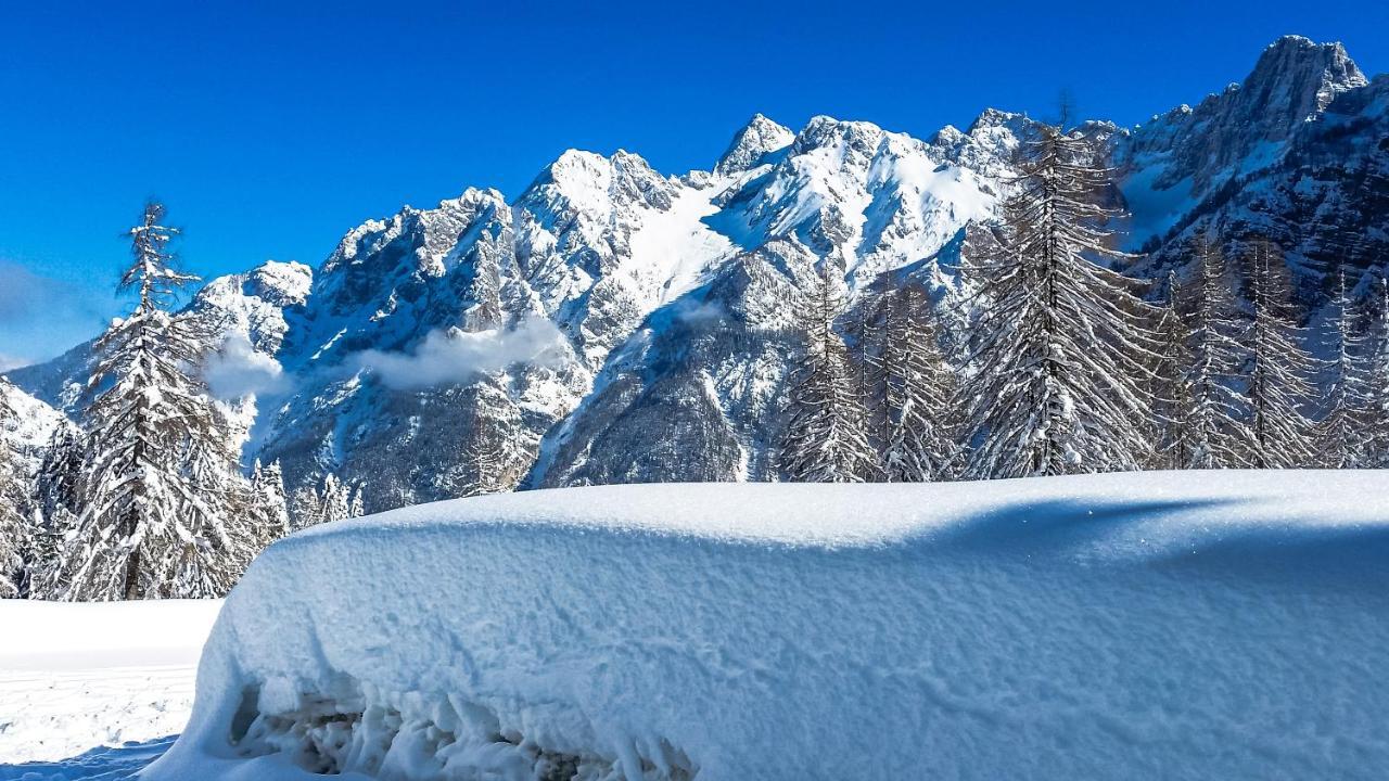 Вилла House Moose'T Getaway, Краньска Гора Экстерьер фото
